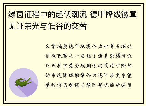 绿茵征程中的起伏潮流 德甲降级徽章见证荣光与低谷的交替